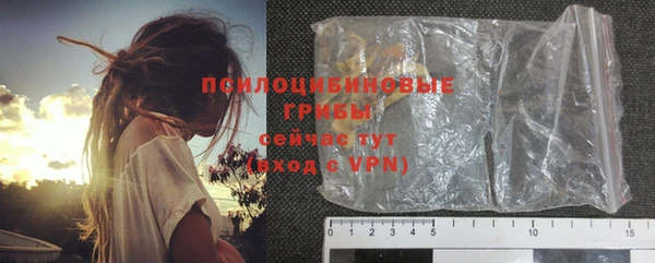 дживик Алексин